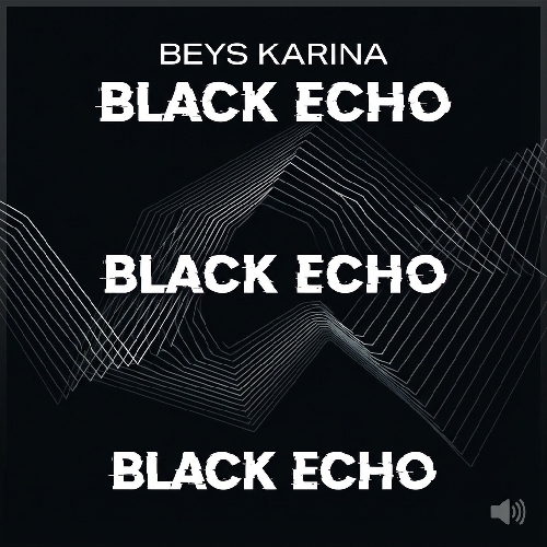 Black Echo Cover Art